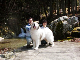 グレートピレニーズ親犬カイナとブリーダー