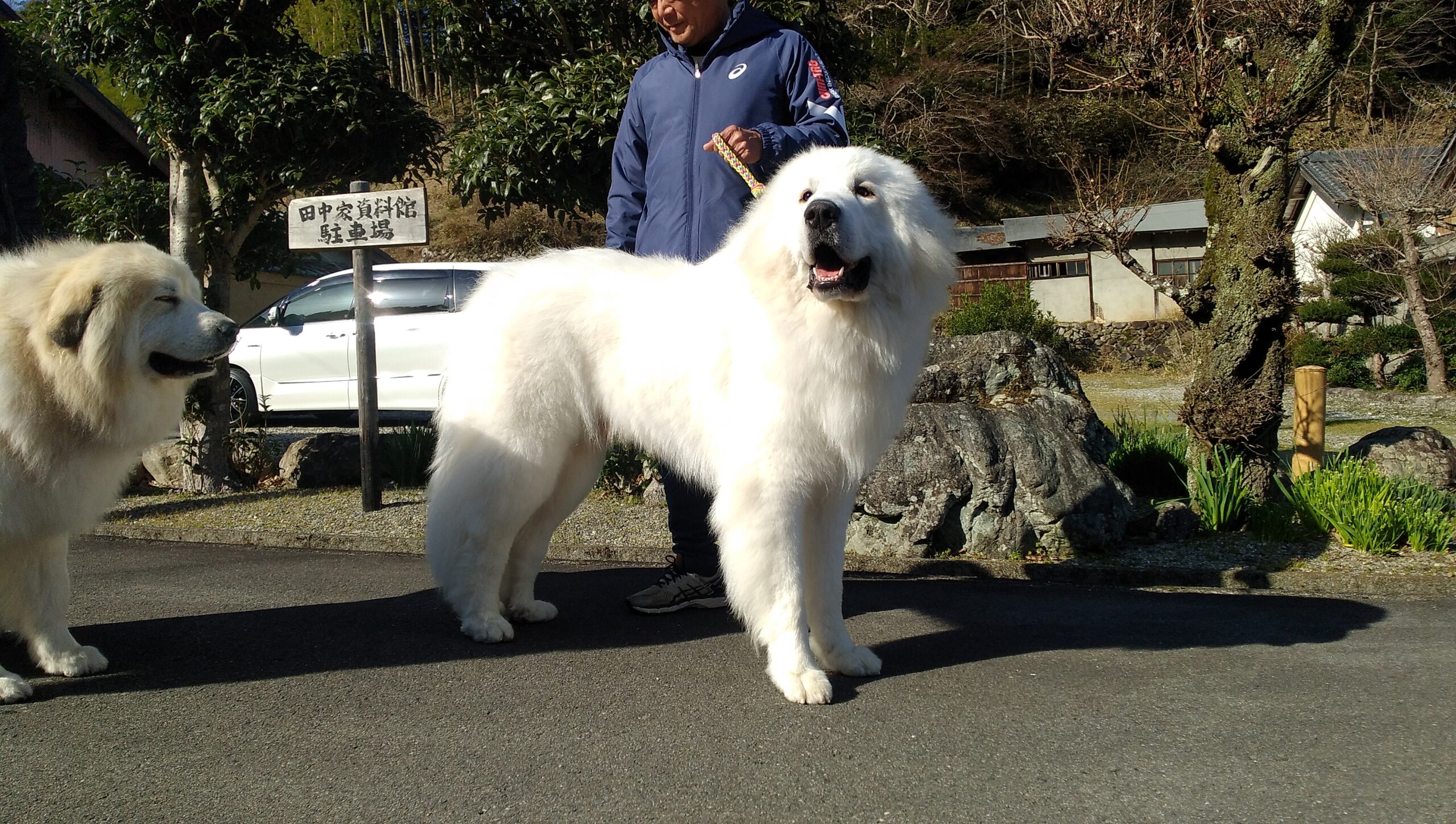 DSC_2172-scaled.jpg